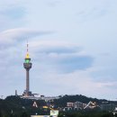 동대구로 이미지