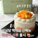 파팡케이크 | 성심당 복숭아시루 주말 오픈런 웨이팅 간신히 성공!