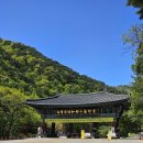 개인 | 합천 가야산 치인야영장 캠핑 후기｜깊은 숲과 계곡에 머문 1박 2일