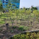 도솔광장 야외공연장 이미지