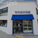 아지동물병원 | 성동구 금호동 동물병원 아지동물병원 위치 오는길 후기