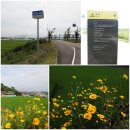 대산문화체육공원(축구장) 이미지