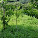 주주농장 이미지