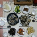 한진수산 Daum카페