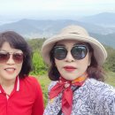 남해-231 이미지