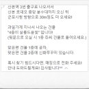 살롱드윤빛