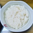 수 삼계탕