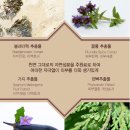 헤어루체떼 | [하이드로겔 마스크팩] 디아부스 프리미엄 네추럴 하이드로겔 마스크팩으로 탱탱한 피부로 돌아가세요!
