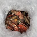 정운가스 | 통영 정운수산:통영 세척 가리비 3kg 택배후기 통영 비단가리비 찜만들기(+가리비 찌는 방법/해감 손질...