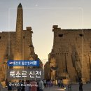 지성소 | [이집트 룩소르 동안투어②] 룩소르 신전 일몰 시간 코스 & 관람 꿀팁