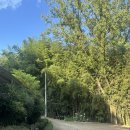 호화농장 이미지