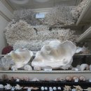 중원대학교 박물관 이미지