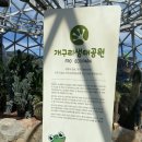 블라벤커피 | 담양 메타쉐콰이어길/개구리생태공원박물관/호남기후변화체험관