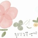 판은 고이 접어서 ... 이미지