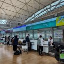 동방카써비스 | 케세이퍼시픽 홍콩 뉴질랜드 직항 경유 비행 시간 여행 환승 후기