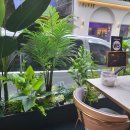 구도로통닭 부평본점 이미지