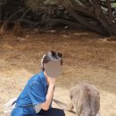 웨스턴헤이(주) 이미지