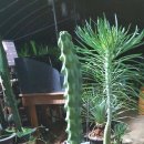 용비농장 이미지