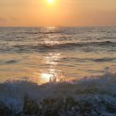 오아식스 이미지