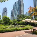 사구팔구부동산공인중개사사무소 | [공지] 강남은 매물 폭탄? 광교 자연앤힐스테이트가 끄떡없는 진짜 이유(26.02)