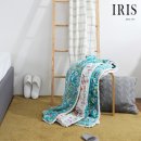 아이리스 이미지