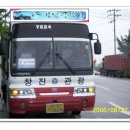 횡성온천 Daum카페