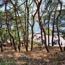 더대청호 이미지