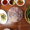 바다실비 이미지