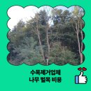 부성1동행정복지센터(0974) | 수목제거업체 나무 벌목 비용