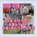 와우 동물농장 | 강릉 쌍둥이 동물농장 내돈내산 아이랑 하루 코스 추천 [강릉 옥계 쌍둥이 동물농장]