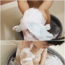 순한 아기목욕엔 퓨토 테라피 엔젤레시피 톡톡바스로 즐거운 목욕시간♪