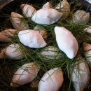 태평농장 이미지