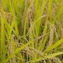 미르부동산공인중개사사무소 이미지