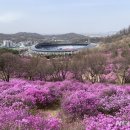 탄천 엑스파크공원 이미지