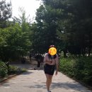 부천 백만송이 장미축제 사진 엄청 찍고 왔어요~!!(feat. 기간, 주차정보)