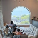 카페들랑 티스토리