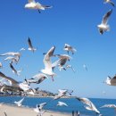 삼오산업주 이미지