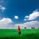 성원목장 이미지