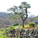 칠갑산자연휴양림 이미지