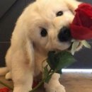 푸른약국 이미지