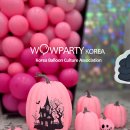 (주)한국화공기술 | 매월 한국풍선문화협회 세미나실에서 열리는벌룬리더들의 모임! 2차 세미나(3)