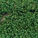 구례의길(섬진강길) 이미지