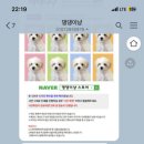 댕댕이냥 이미지