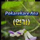 Pokarekare Ana (연가) 이미지