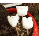 지앤케이 이미지