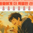 펫프렌즈동물병원 이미지