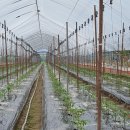 성희농장 이미지