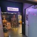 카페 소프(cafe sof) | [안양/범계] 범계역 신상카페｜카페 소프(CAFE SOPH) 내돈내산 후기