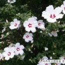 운호농장 이미지