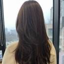 중앙동323 | [안산]안산 중앙동 레이어드컷 미용실 추천|이끌린 안산점 후기